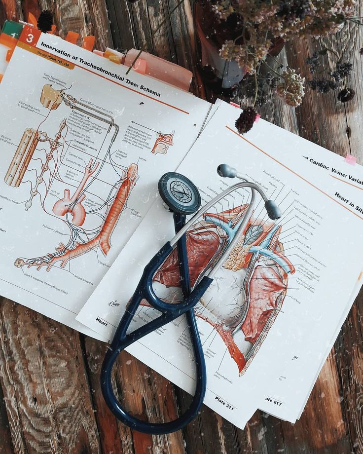 Анатомия / Anatomy / Тариф лайт